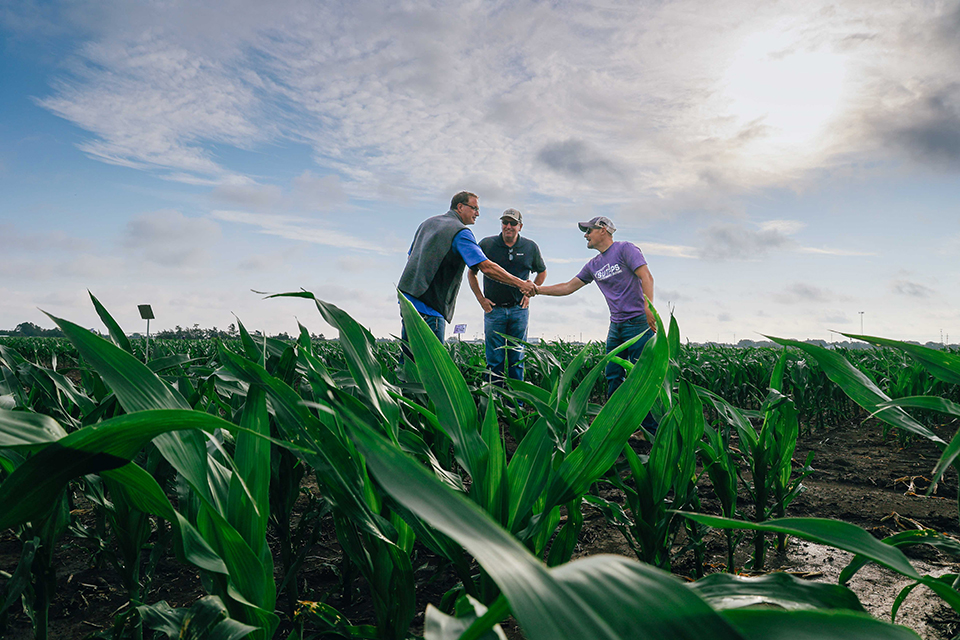University researchers meet and shake hands with a farmer in a field.