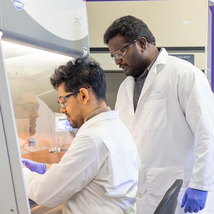 Two men wearing white lab coats, safety glasses, and purple gloves look into a lab hood. 