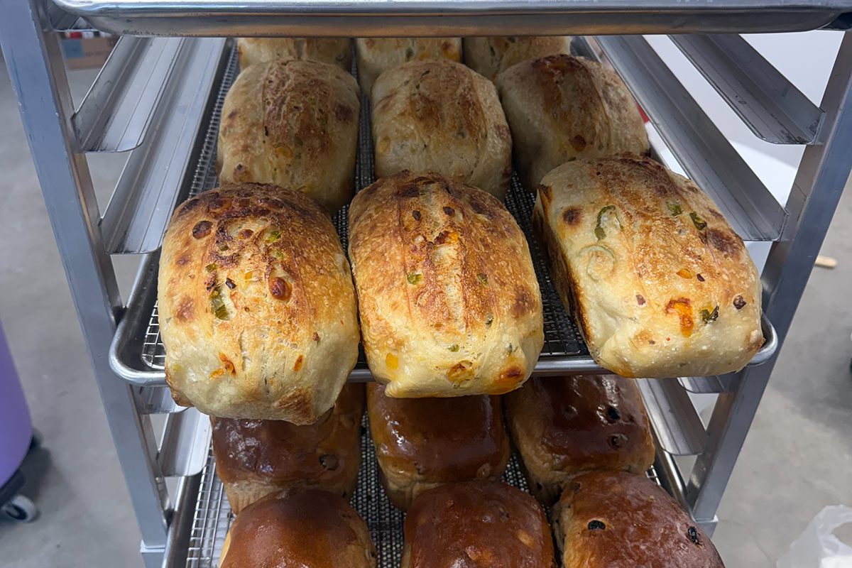 Several loaves of baked sourdough bread sit on aluminum trays in a cooling rack.