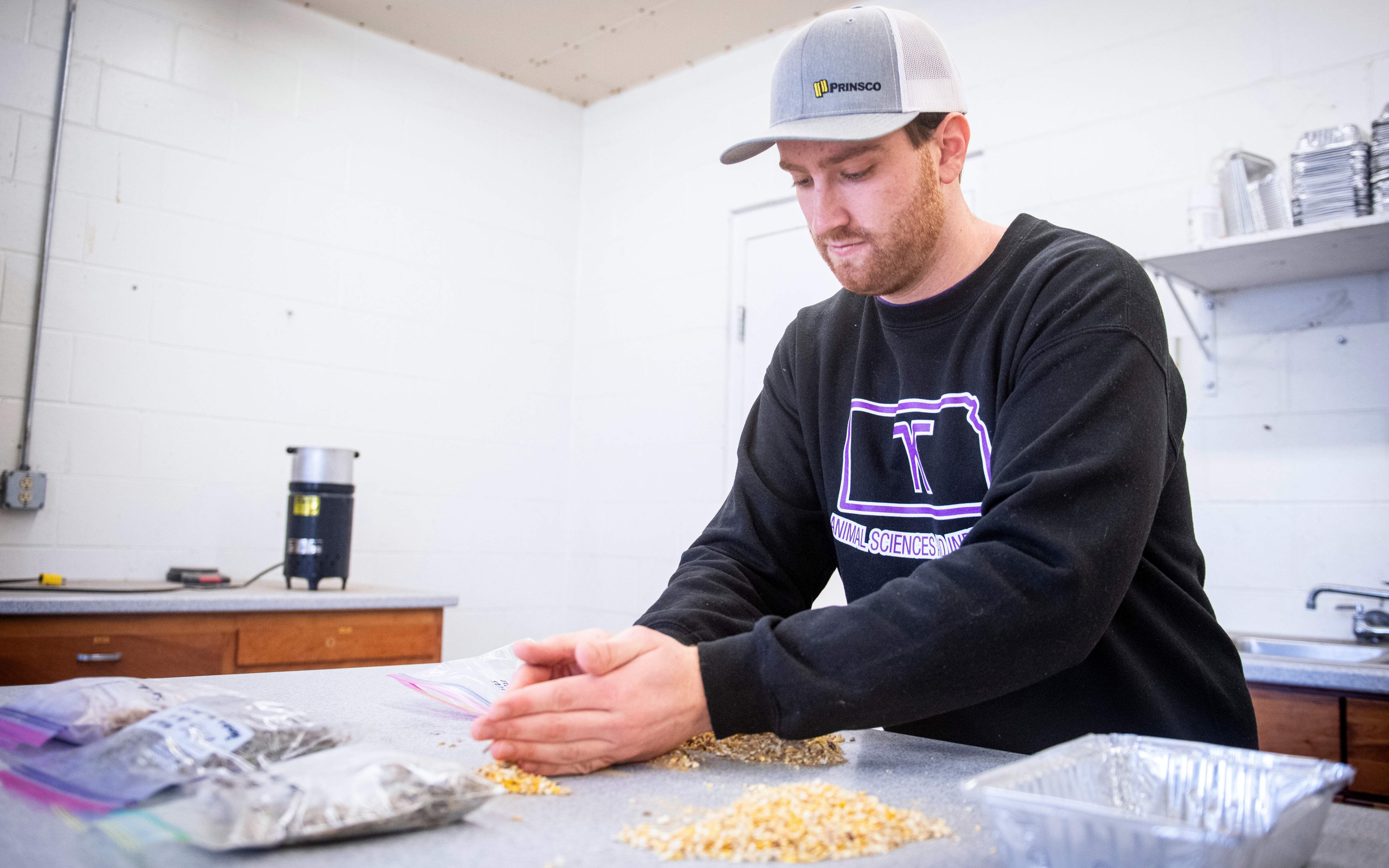 Corwin scoops feed up with his hands for measuring purposes. He works to sort the feed, sitting on a gray countertop, into separate bags and containers. He wears a black sweatshirt and a gray baseball cap.