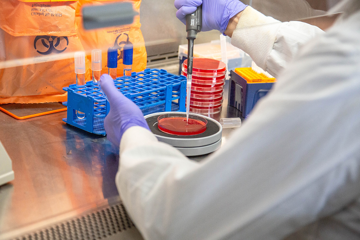 A researcher in a white lab coat and lavender rubber gloves uses a pipette to manipulate a red petri dish inside a research laboratory.