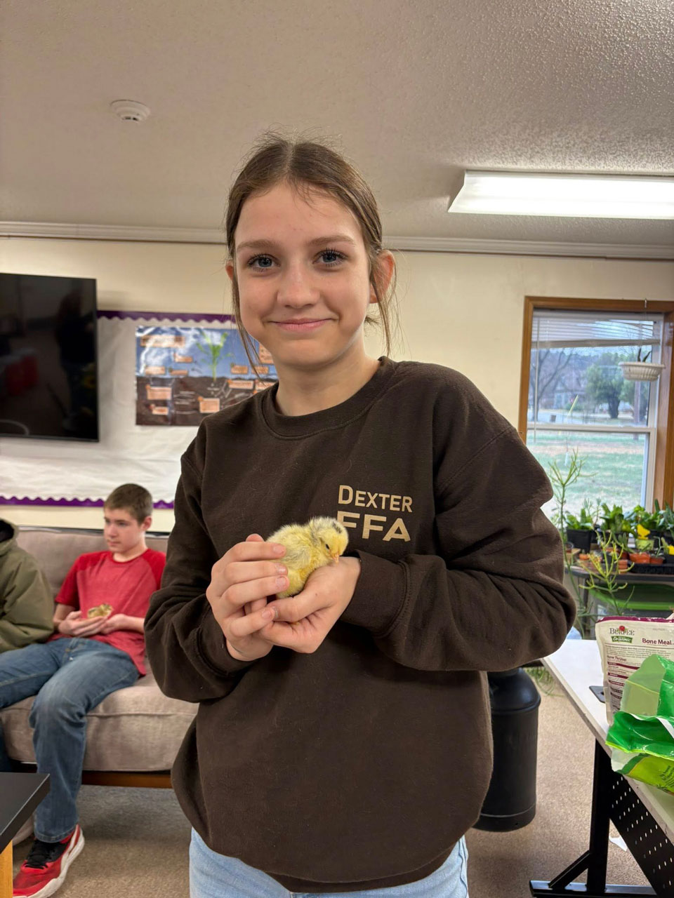 A student in a brown Dexter FFA sweatshirt holds a yellow chick.