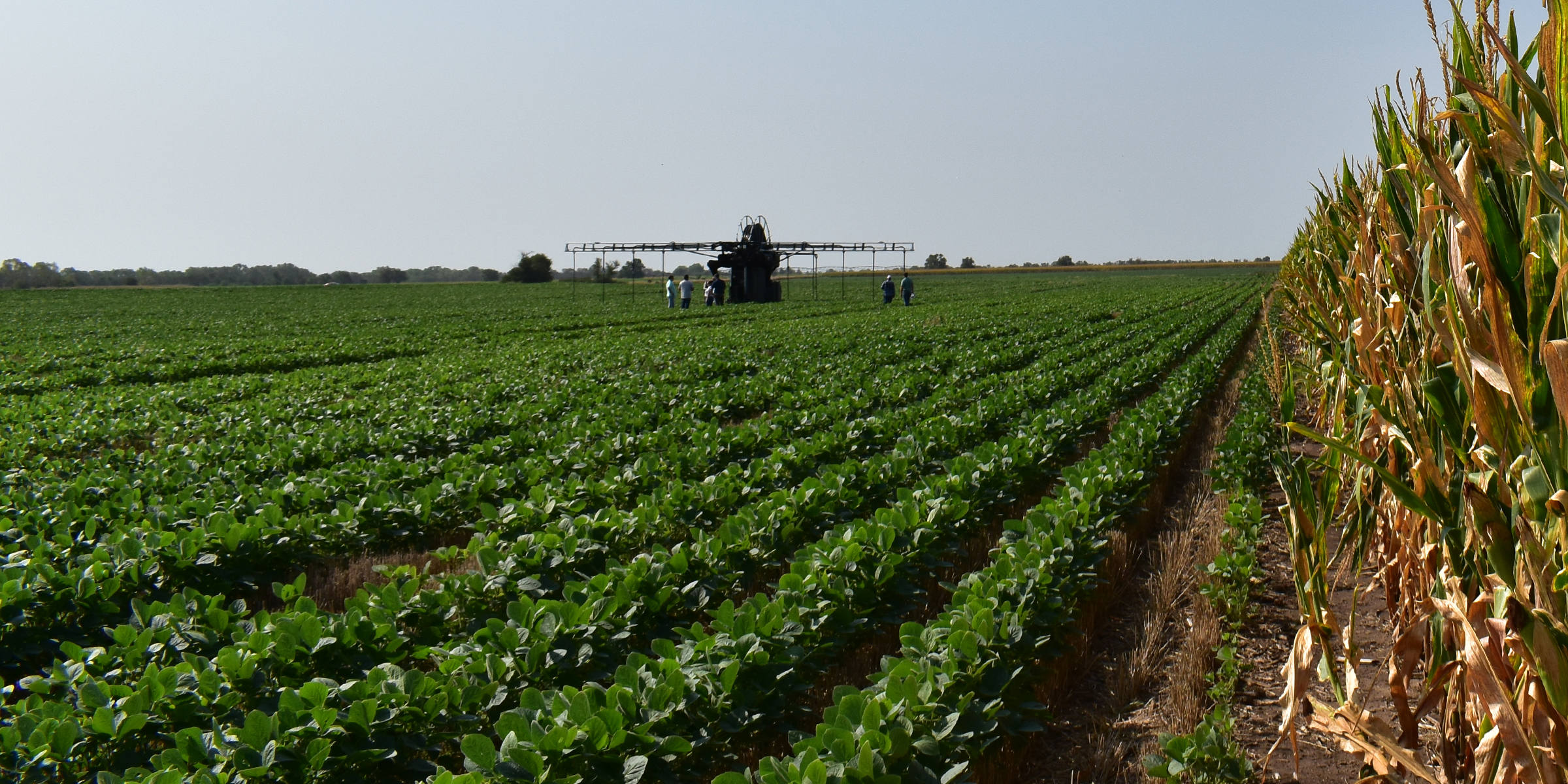 In the far background on the left, a group of farmers stand in front of a large irrigation machine as it idles in a chopped field of corn. In the foreground on the right, dry yellow corn frames the scene.