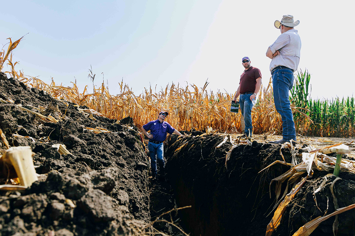 A group of agricultural researchers examine a large soil pit in a corn field.