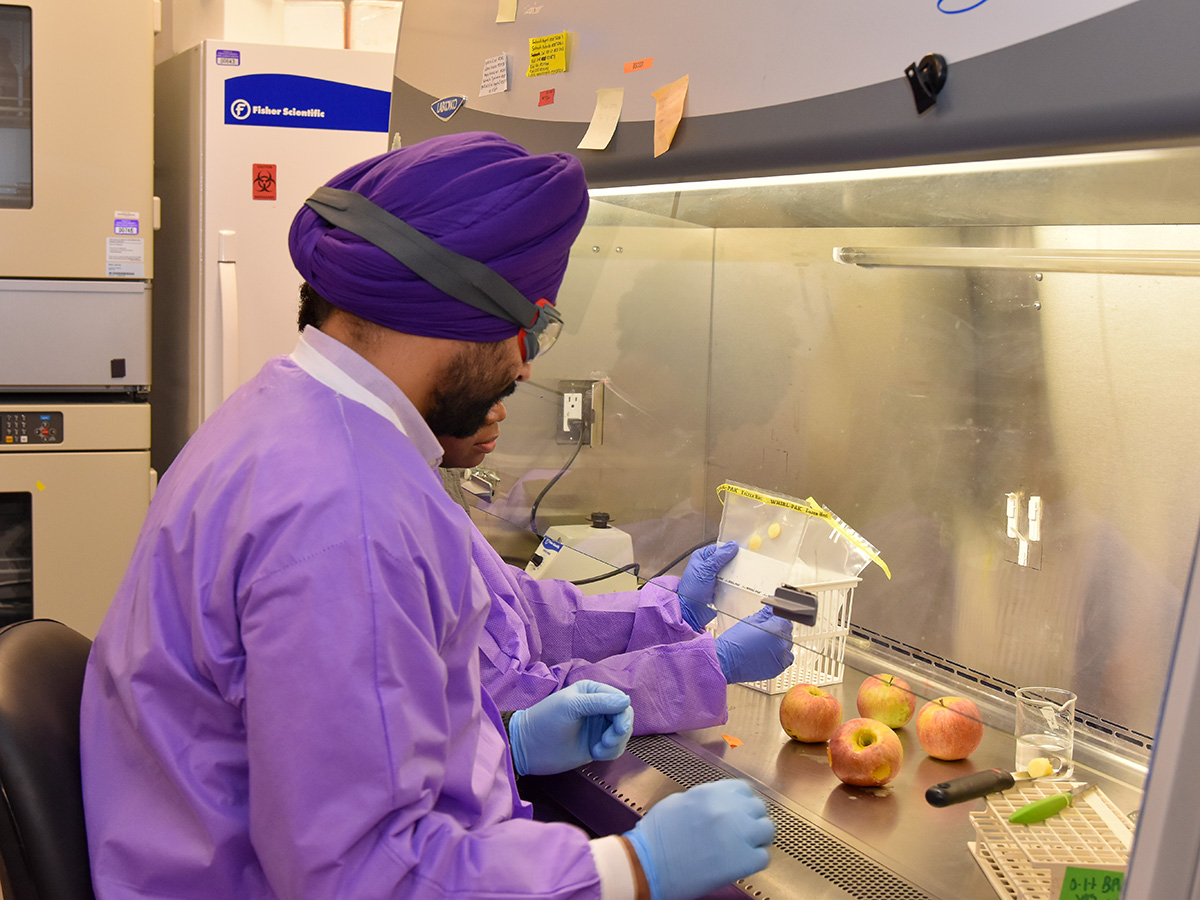 Manreet Bhullar prepares samples while working in his research lab at K-State Olathe.