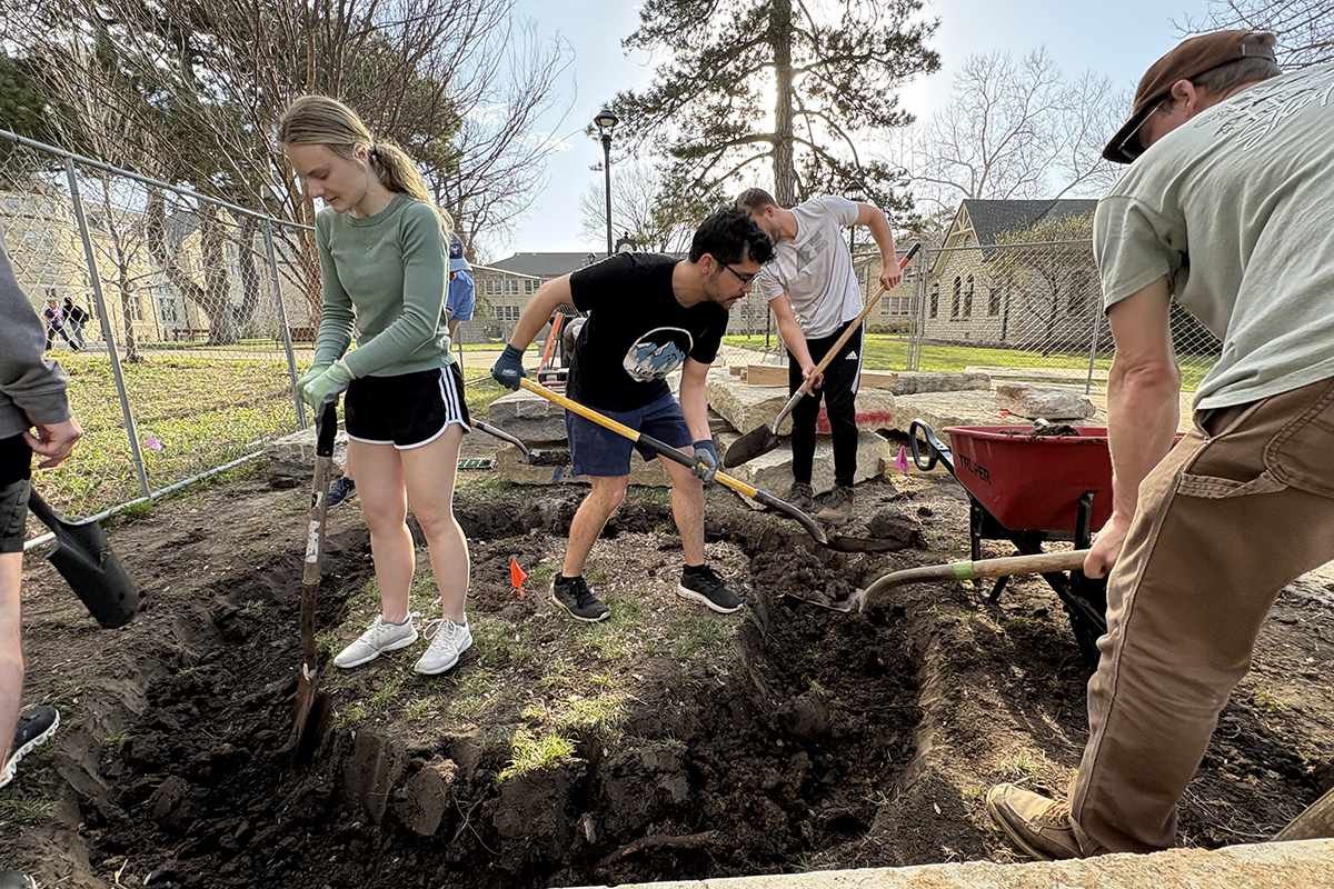 A group of college students in shorts and gloves shovel out a shallow dirt pit, loading shovefuls into a red wheelbarrow, on a college campus.