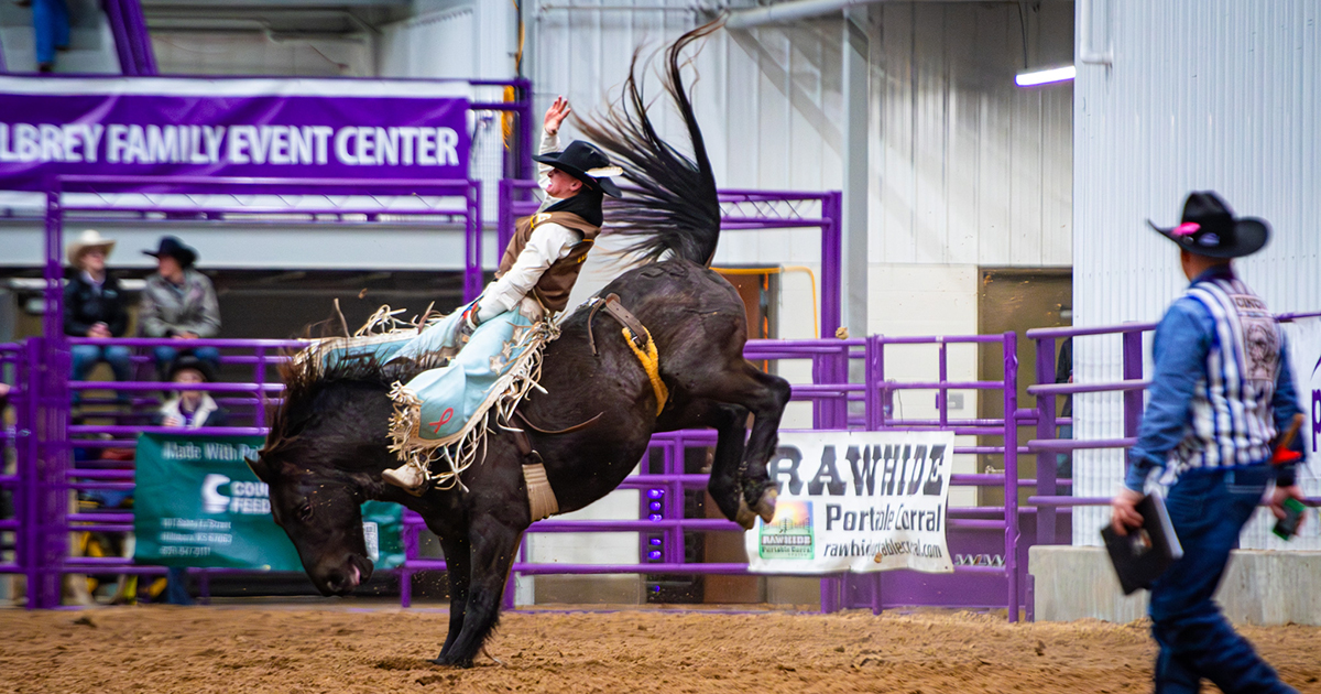 A man in western gear and fancy fringed cowboy pants rides a bucking horse bareback in a rodeo arena.