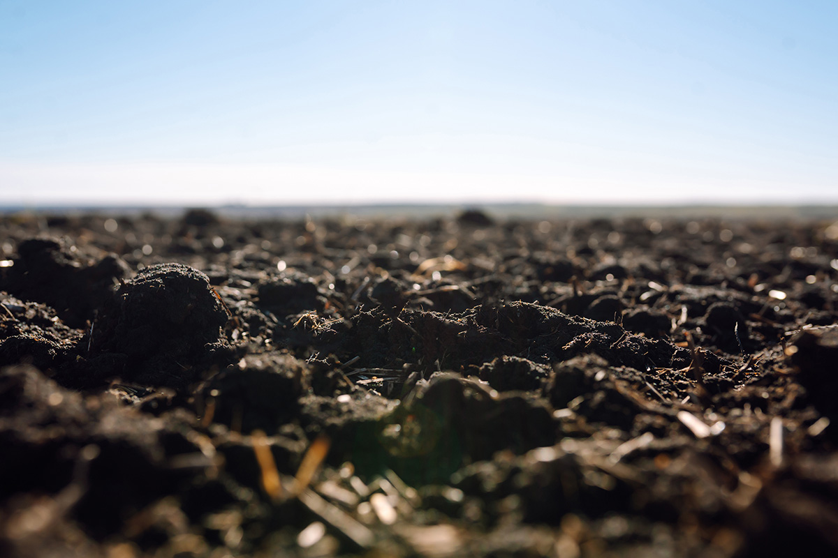 A freshly plowed filed under a clear blue sky. 
