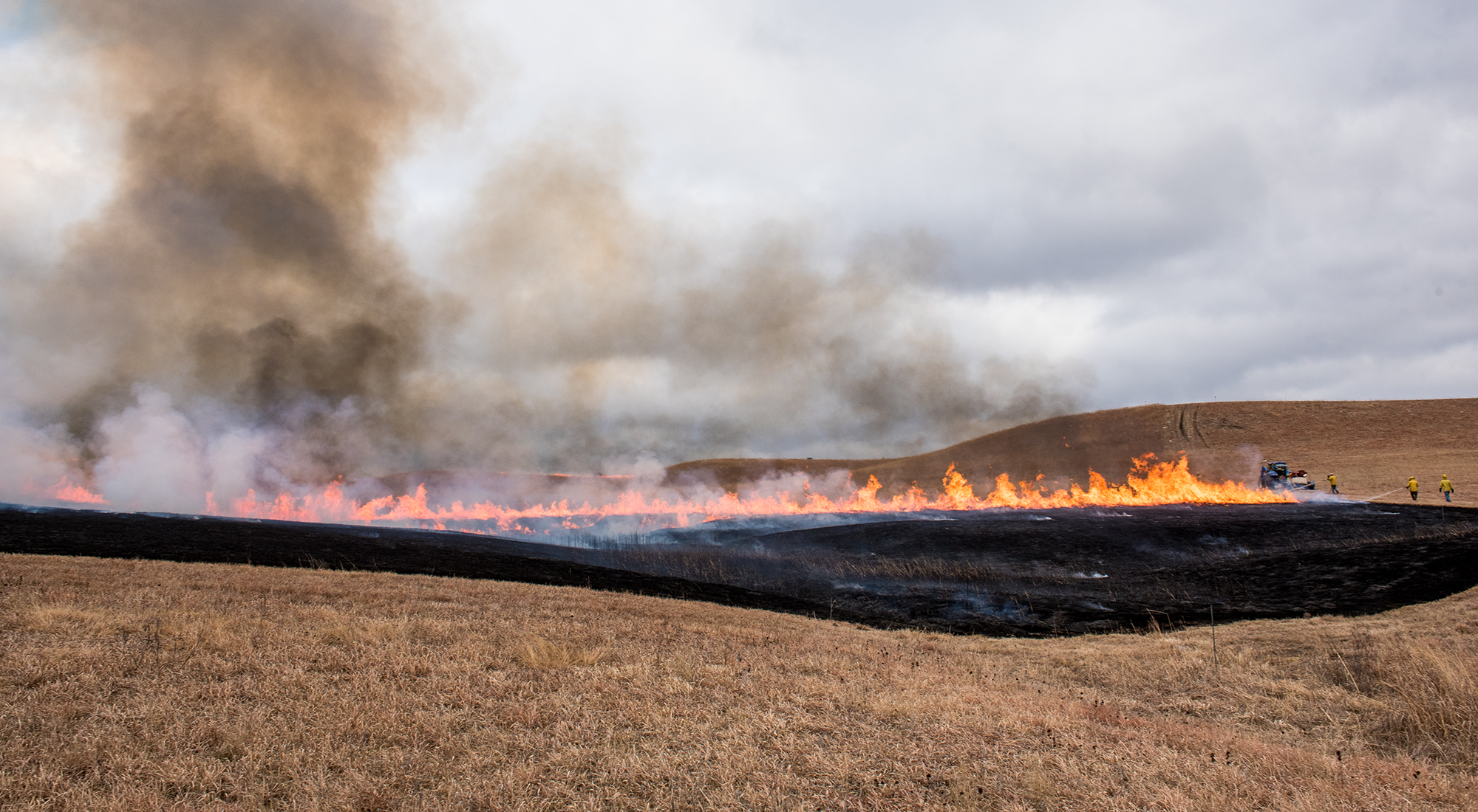 A line of fire moves across an amber field of tallgrass prairie, leaving behind a charred black area and a tall plume of dark gray smoke.