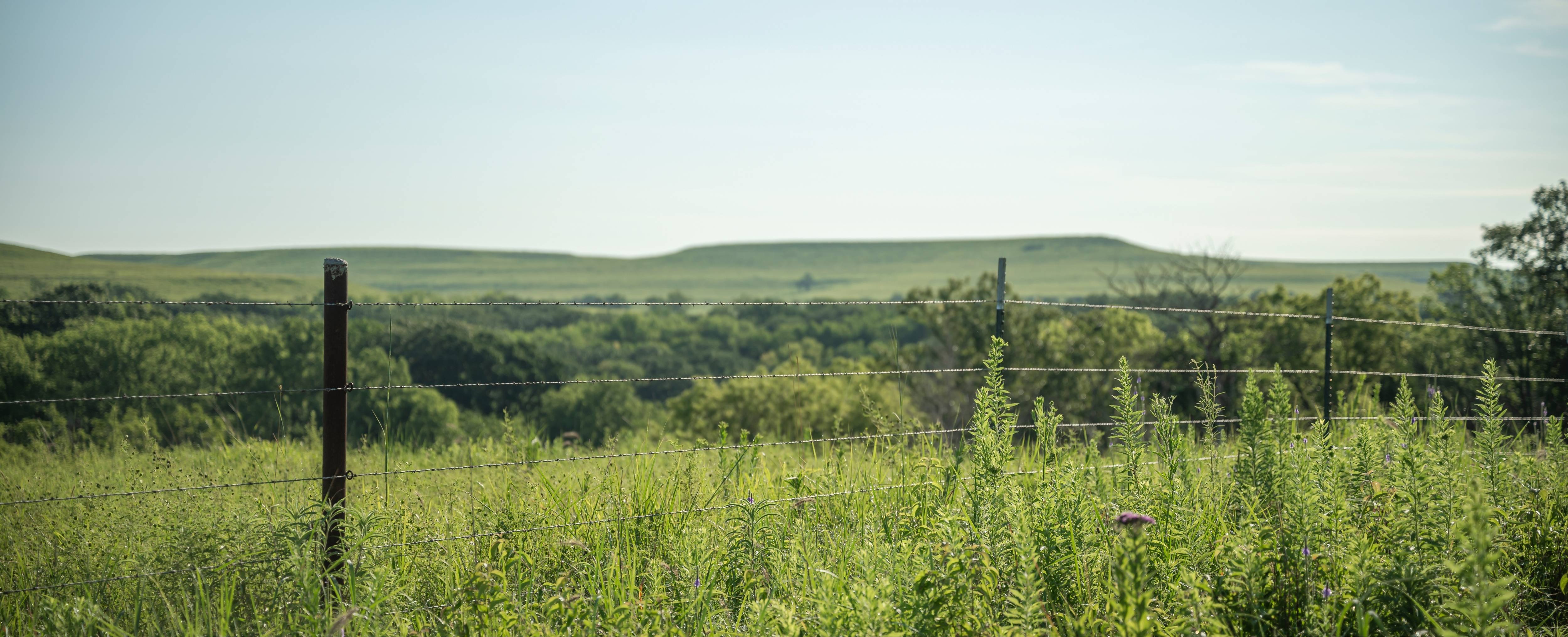A wide-shot photo of a large open plains area. Visible is a wire fence with metal posts.