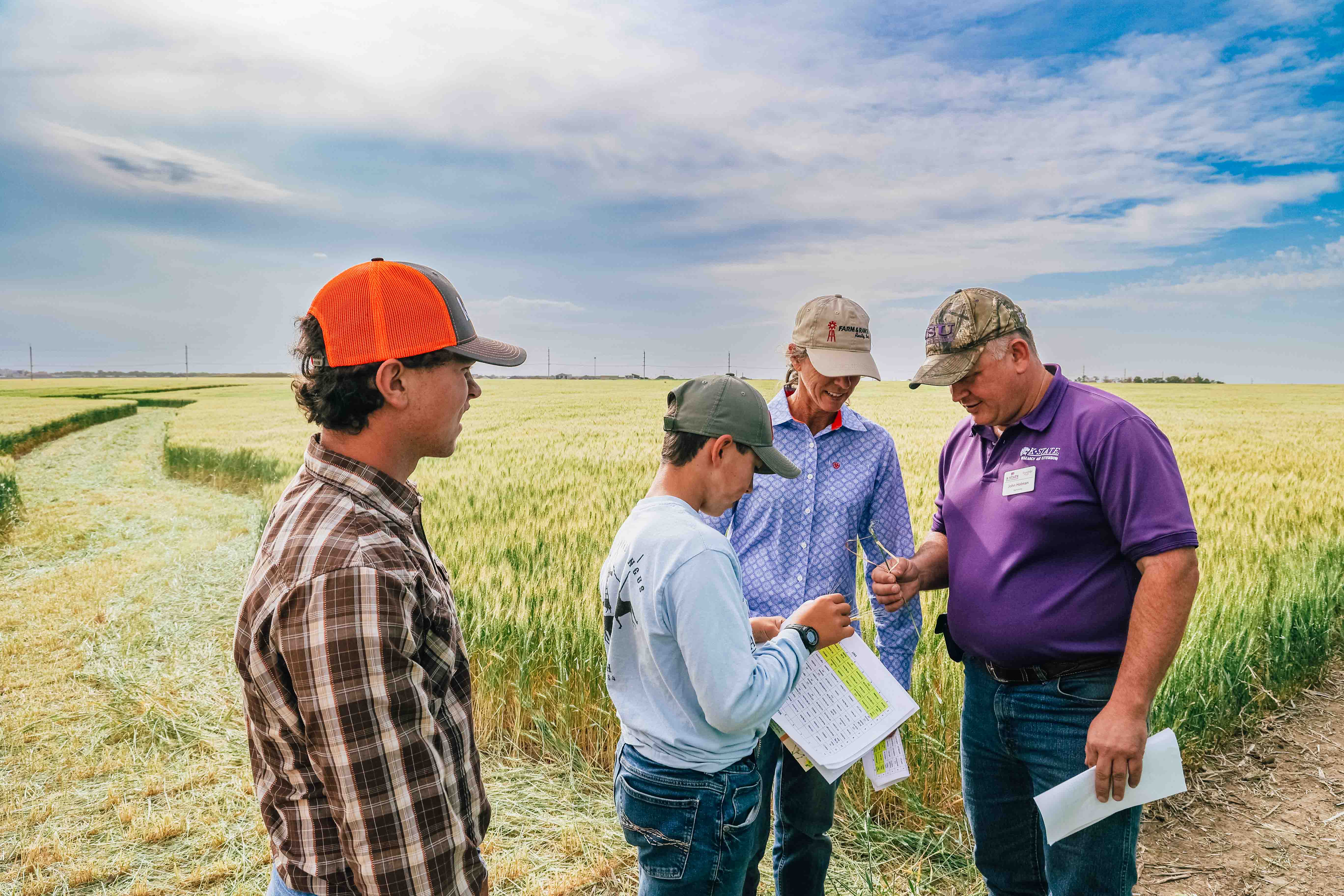 Four people, all wearing baseball caps, examine a field of wheat below a blue sky.