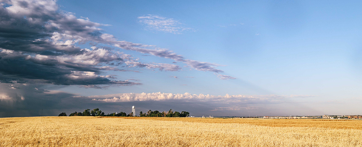 A golden wheat field is shown below a large blue sky with clouds and the moon visible