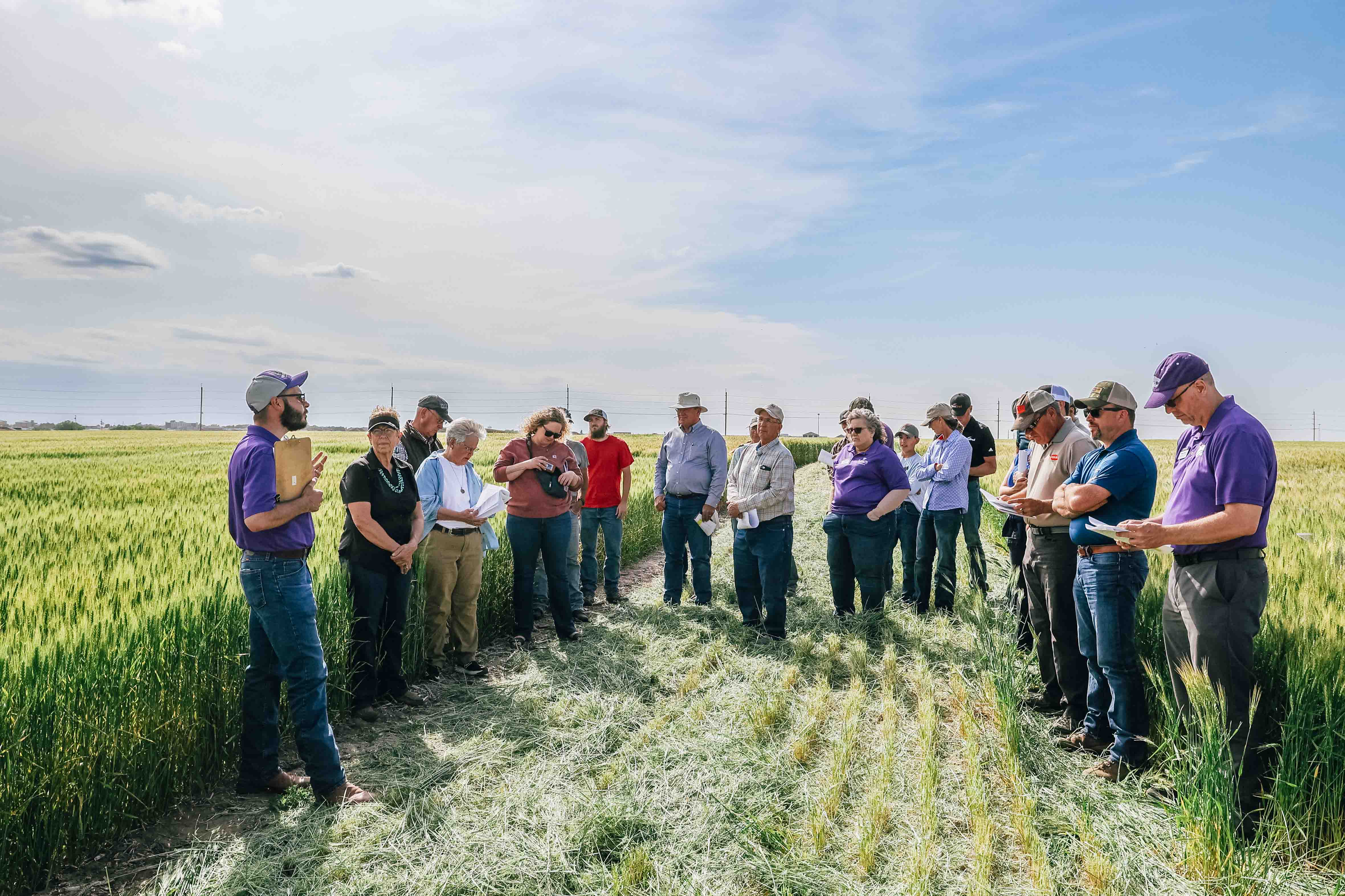 A group of 20 people stand in a green crop field below a blue sky.