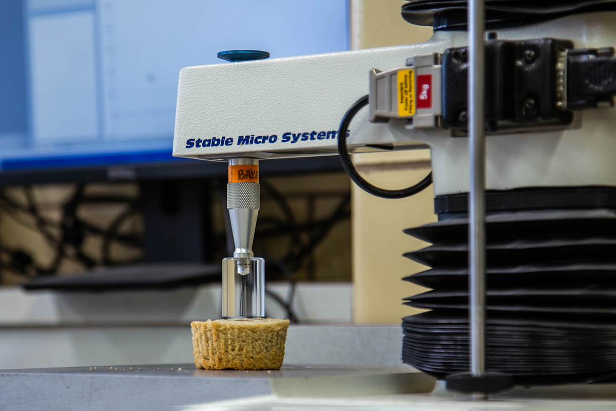 A scientific tool with an arm rests on the bottom half of a plain muffin in a baking laboratory.