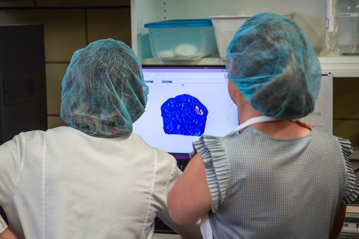 A view from behind shows two researchers in hairnets looking at a side profile of a muffin on a computer screen.