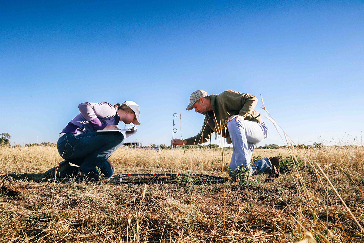 Two people crouch in a field where they are measuring forage levels.
