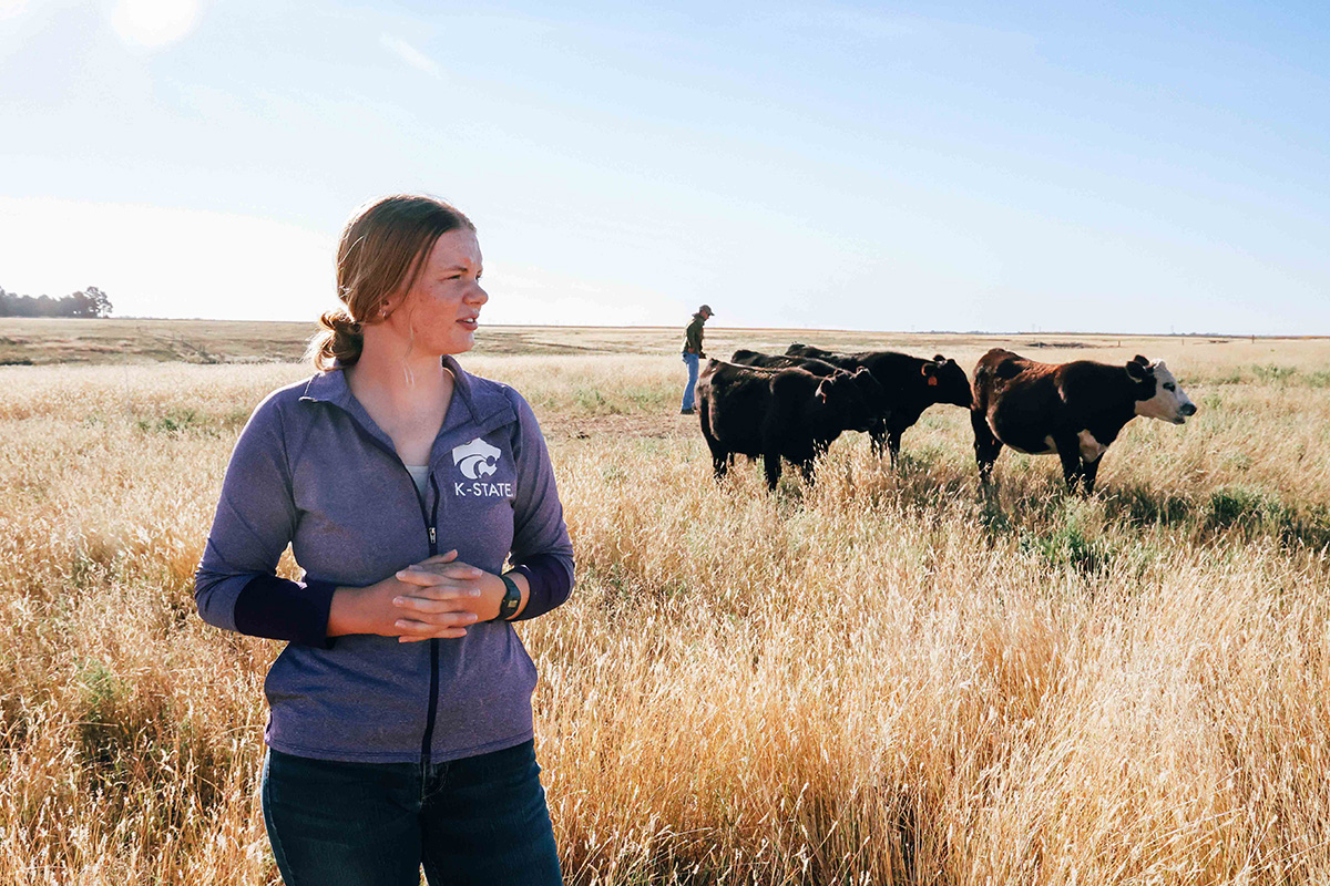 A young woman wearing a purple K-State jacket stands in a field with cows behind her.