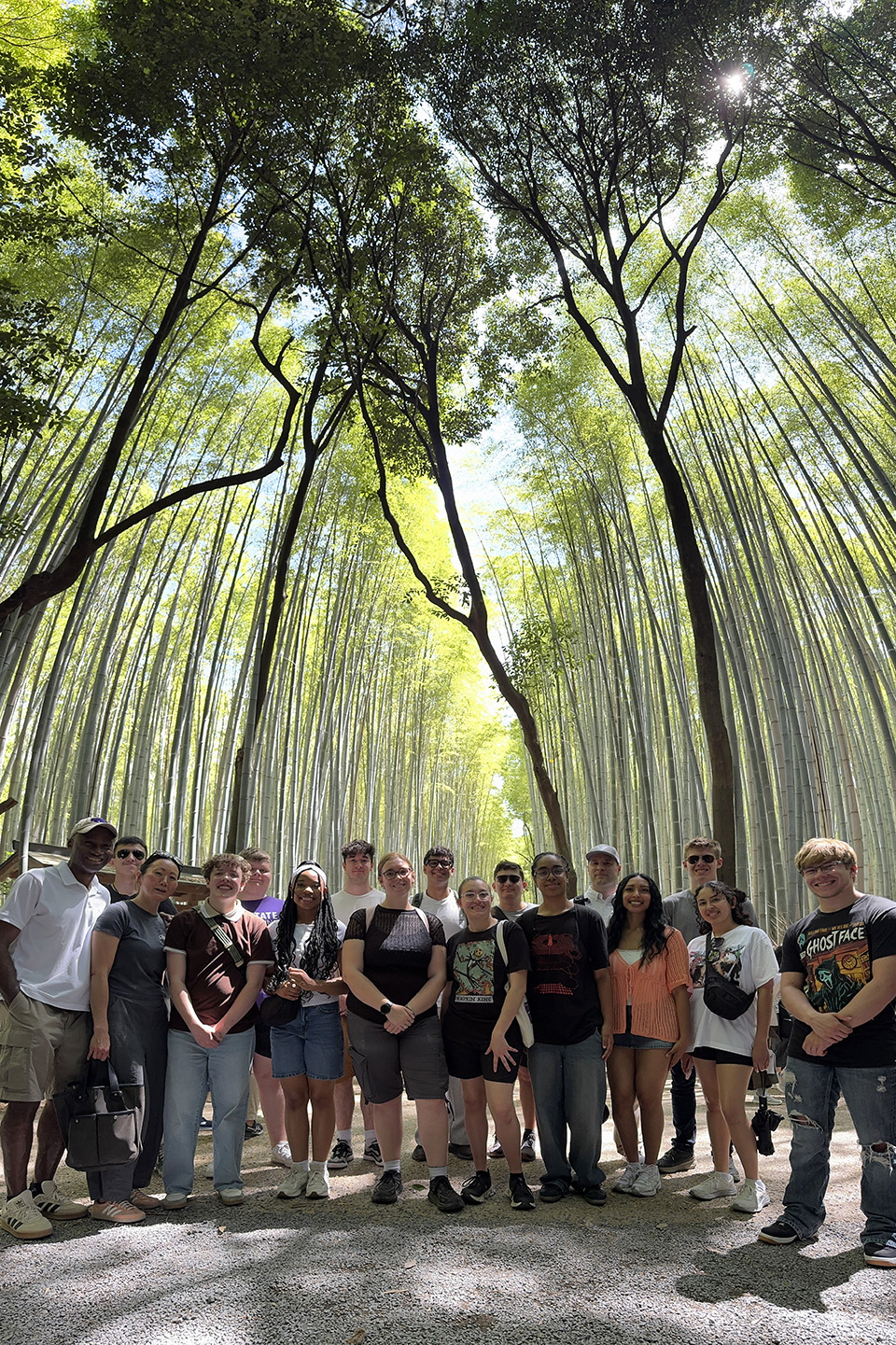 A group of students stands in a forest of bamboo stretching toward the sky.