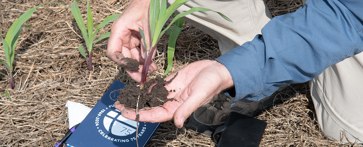 A person holds up a clump of soil with a worm visible