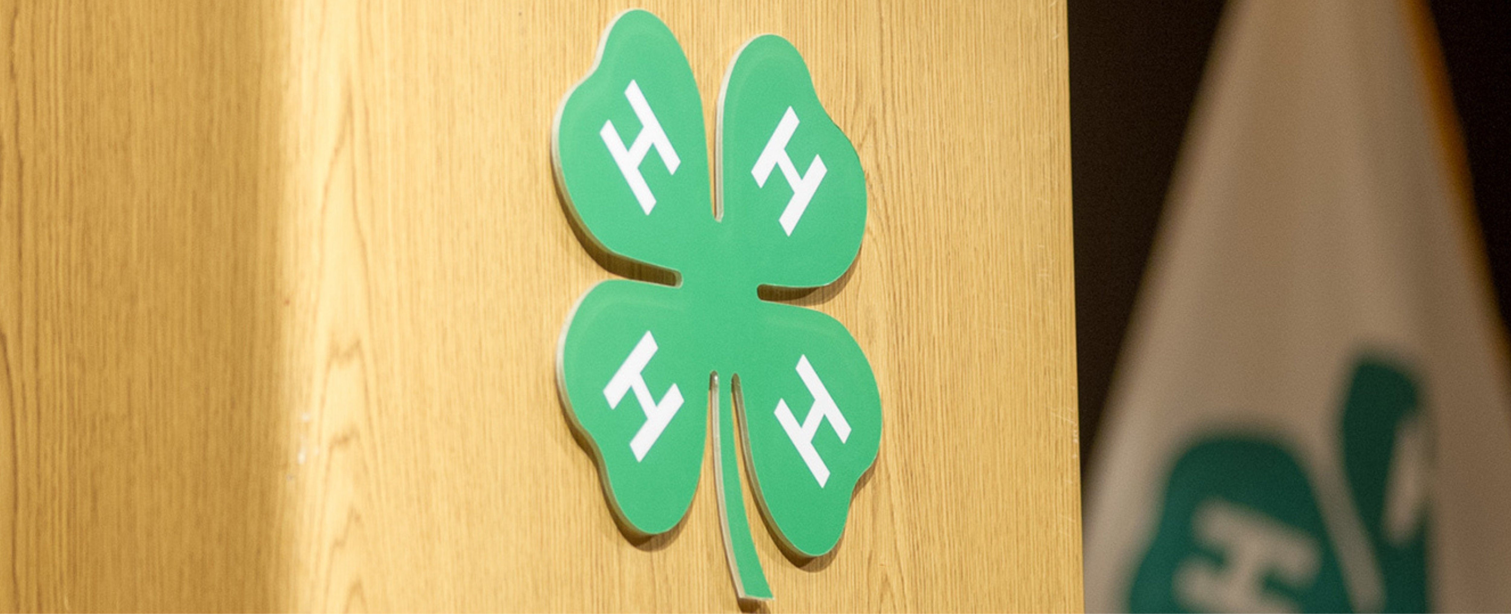 A close-up image of a 4-H green clover on a wooden podium