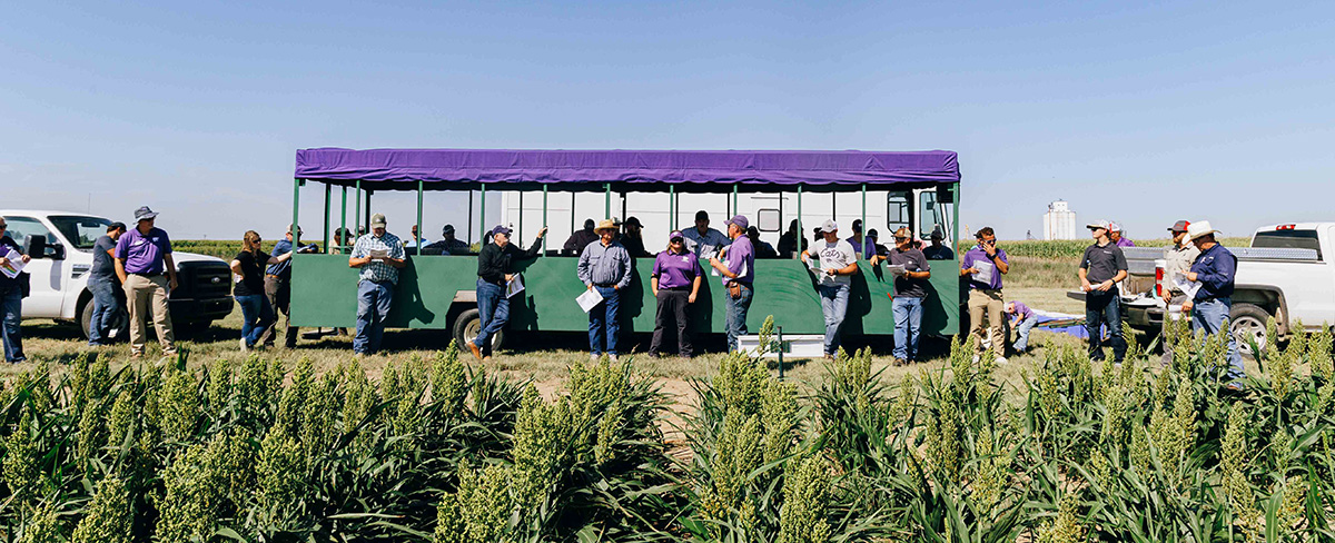 A group of people stand around a green trolley with a purple cover in a field.