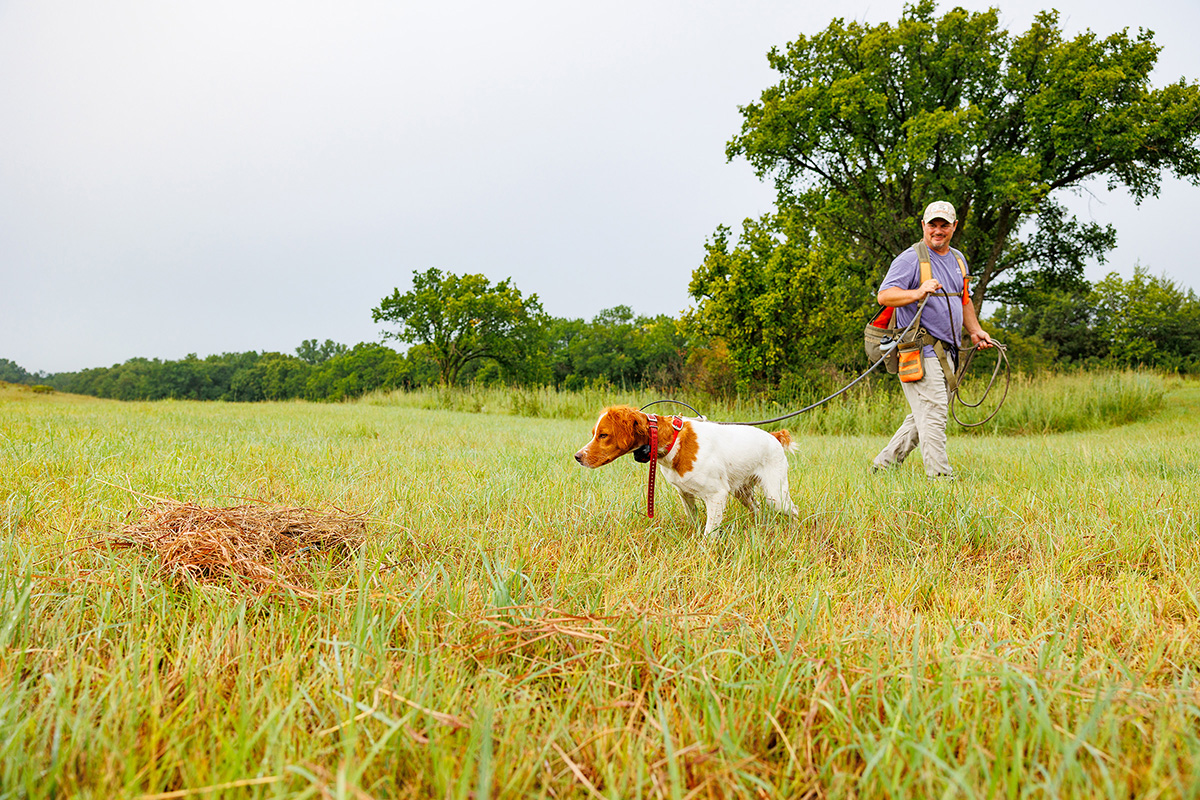 A man walks with a hunting dog through a green field. 