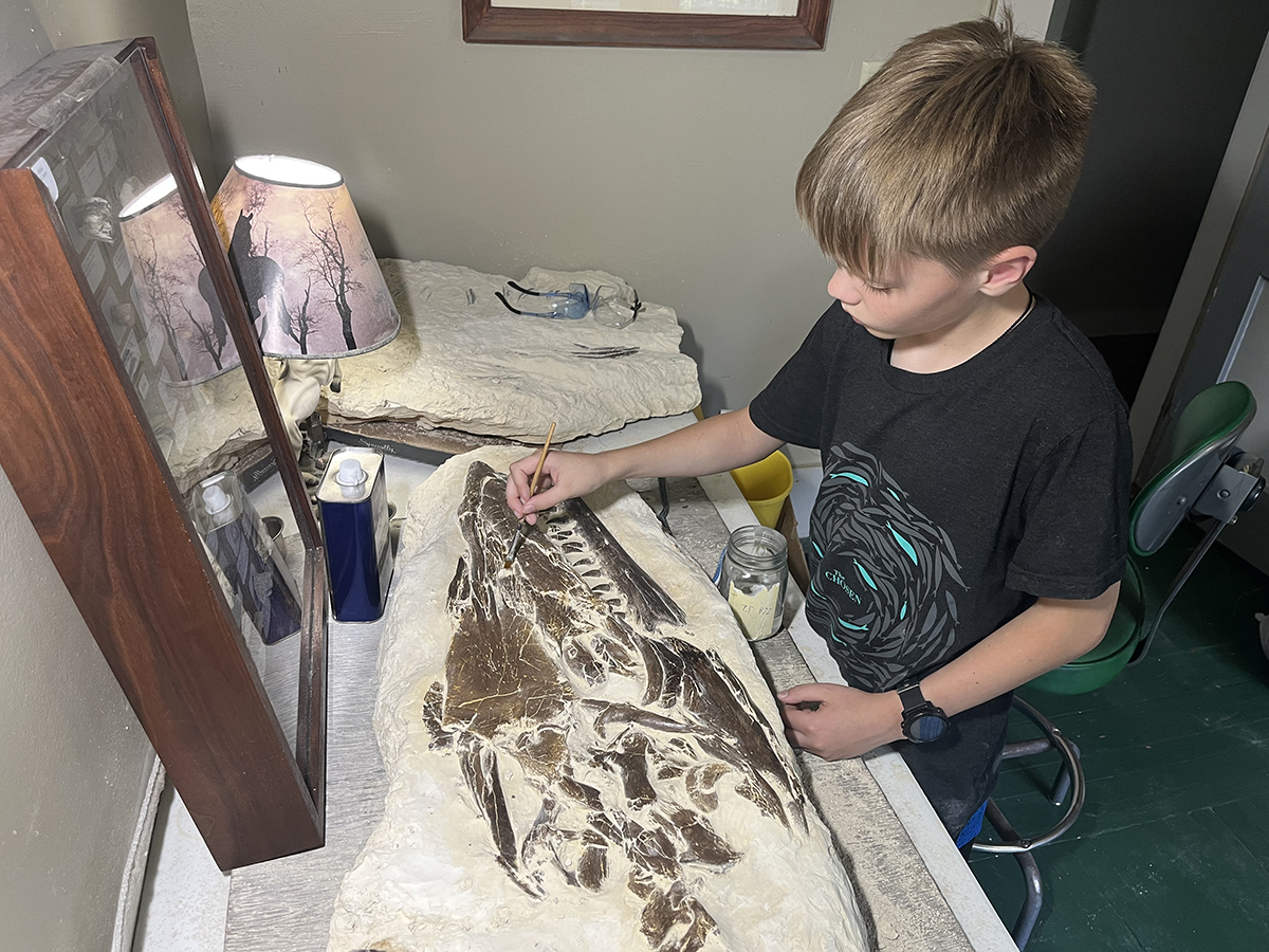 A boy uses a brush to clean a fossil.