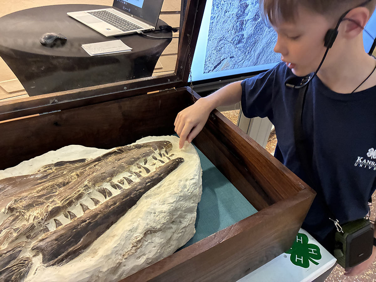 A young boy in a navy 4-H shirt points to a prehistoric fossil he uncovered.