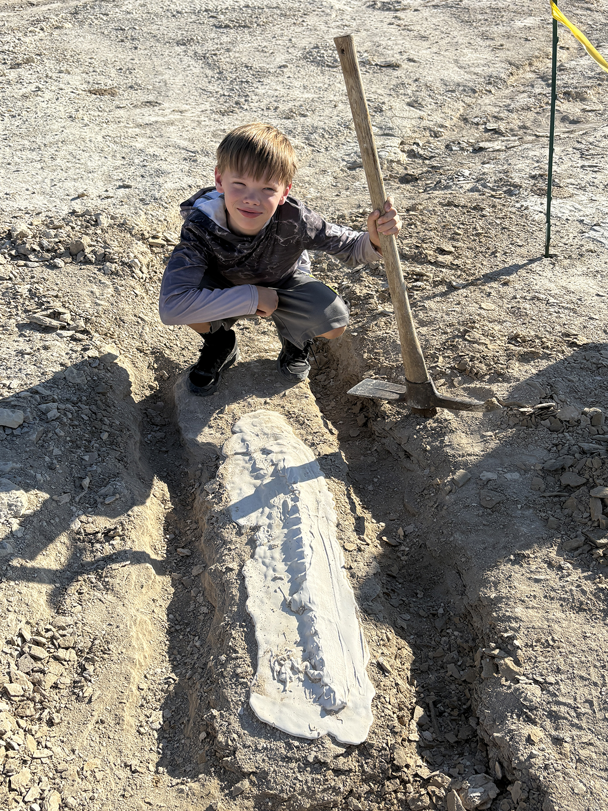 A young boy with a pick-axe crouches down near a fossil he uncovered.