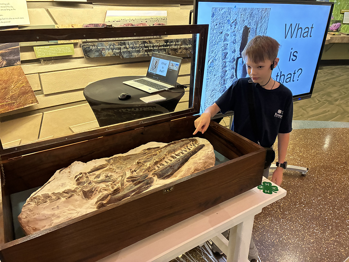 A boy wearing a 4-h shirt and an ear piece stands next to a table with a fossil displayed.