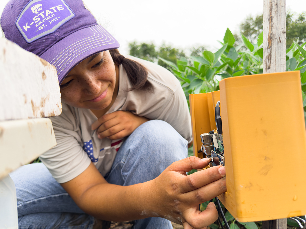 Freckled-faced student wearing Kansas State University purple ball cap gently presses buttons on devices held inside of a yellow 3D printed case. Soybean leaves and nature loom in the background.