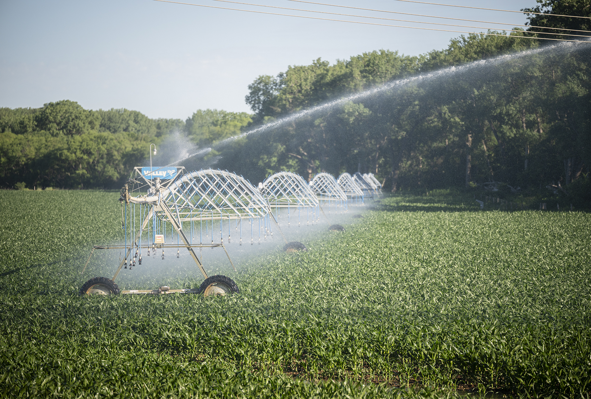 A pivot irrigator sprays water on crops in a field.