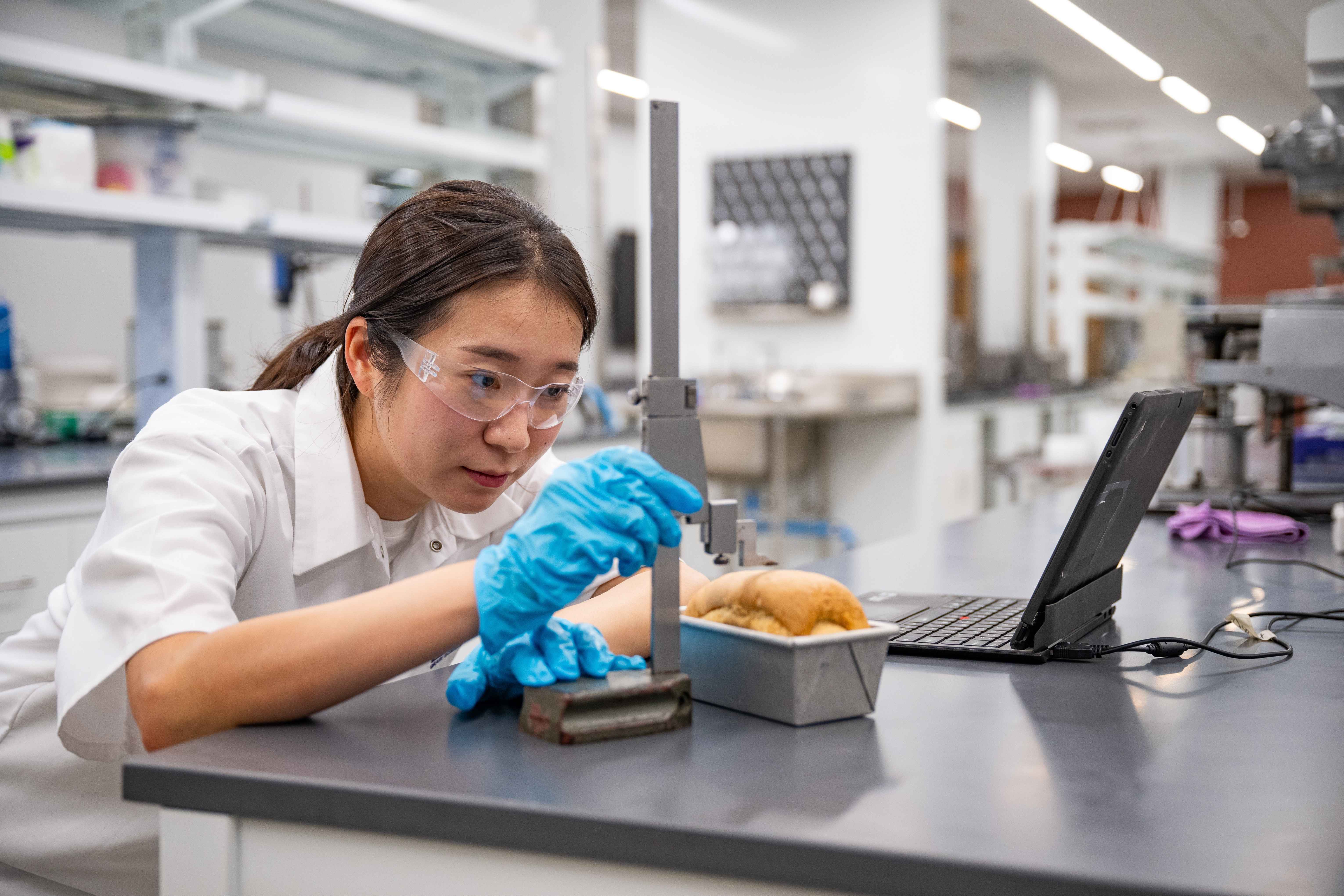 A student, wearing a white lab coat, blue gloves and goggles, uses a measuring tool to analyze the rising properties of a baked loaf of bread.