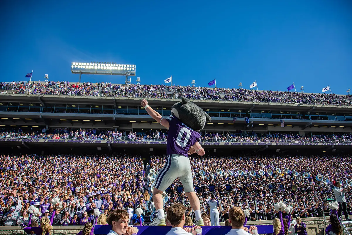 Willie the Wildcat posing after doing pushups.