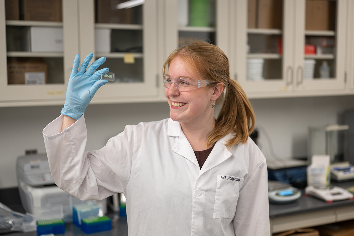 Medical Engineering Student Biomedical students apply learning with organ chip engineering | K ...