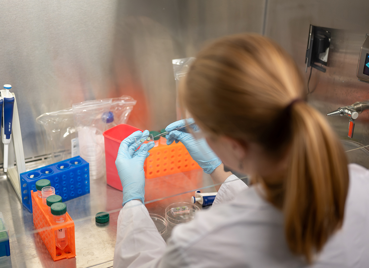 Medical Engineering Student Biomedical students apply learning with organ chip engineering | K ...