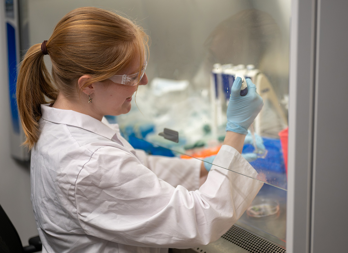 Medical Engineering Student Biomedical students apply learning with organ chip engineering | K ...
