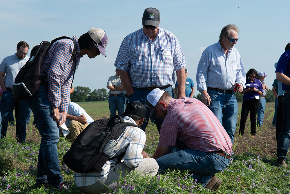 A group of people stand and kneel in a field.