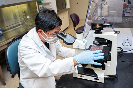 Kyeong-OK Chang Kyeong-OK Chang