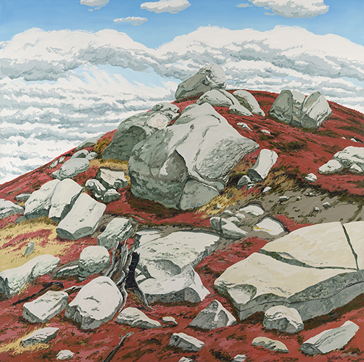 Autumn Blueberry Barren Autumn Blueberry Barren