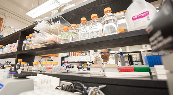 A rack of glass beakers and vials sits in front of a man working with chemicals.