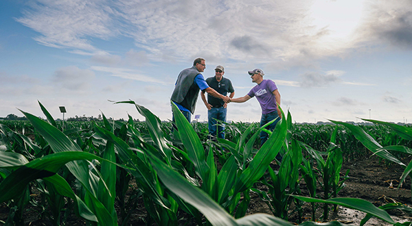 A trio of a researcher and farms meet and shake hands in a young corn field.