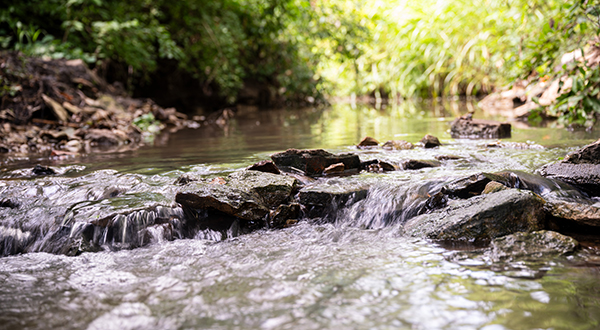 Water trickles over a low grouping of rocks outdoors.