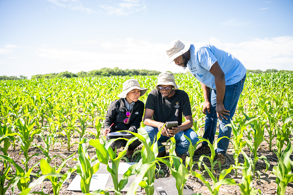 Three people in hats crouch behind technology in a field.