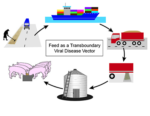 Feed as viral vector Feed as viral vector