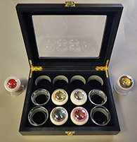 Eye globe training kit