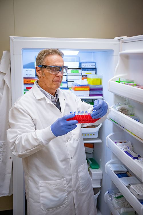A man in safety glasses and a white lab coat with purple gloves pulls samples out of a refrigeration unit.