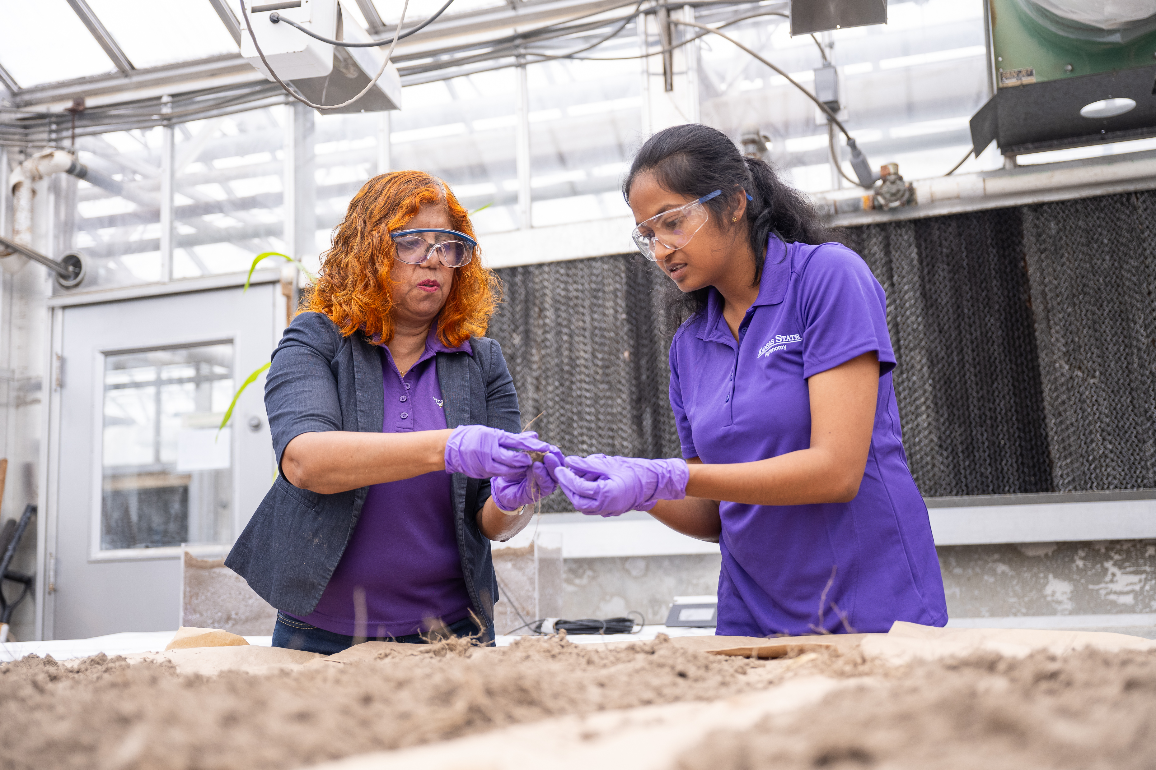 Two female researchers hold pieces of dirt and analyze them in a greenhouse laboratory.
