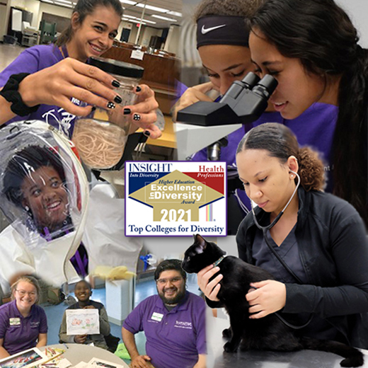 K-State College of Veterinary Medicine HEED K-State College of Veterinary Medicine HEED