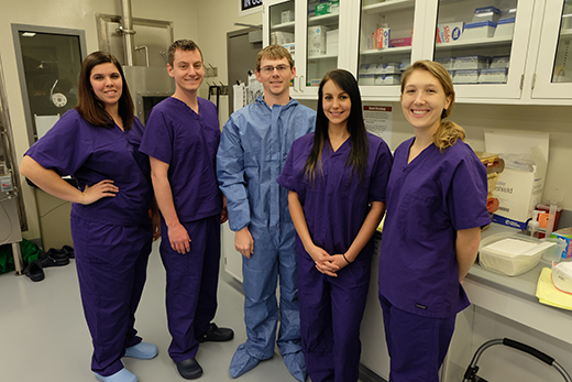 Program fellows